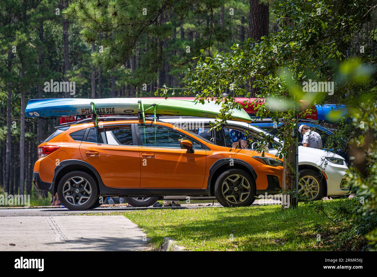 Kajakfahrer mit Kajaks auf Dachträgern im George L. Smith II State Park in Twin City, Georgia. (USA) Stockfoto