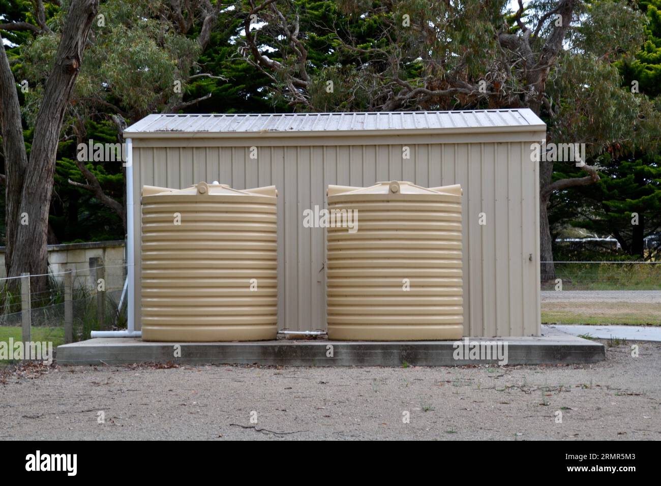 Zwei Kunststoff-Wassertanks auf einem Betonsockel im Freien sind ein Nachhaltigkeitsmerkmal eines kleinen Bauernhofs auf einem australischen Grundstück mit Gummibaumhintergrund Stockfoto