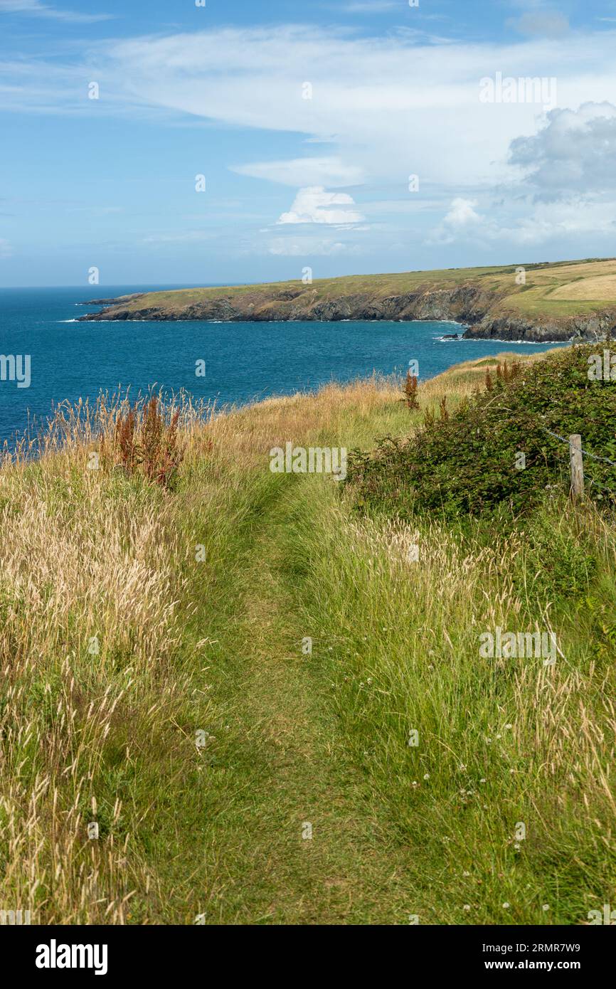 Der Wales Coast Path an der Nordküste der Halbinsel llyn, gwynedd, Wales Stockfoto