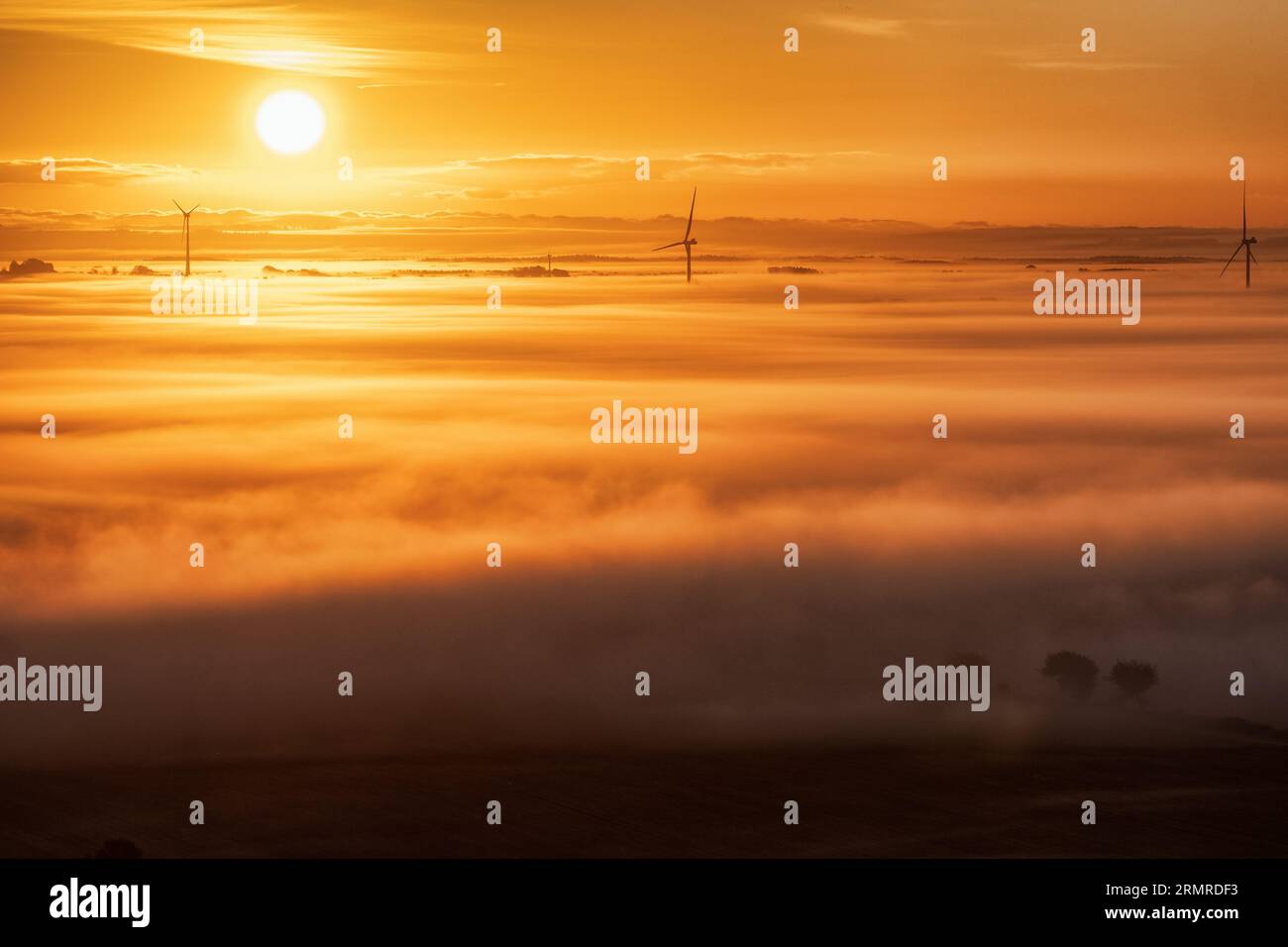 Sonnenaufgang mit Windrädern über dem Nebel Stockfoto