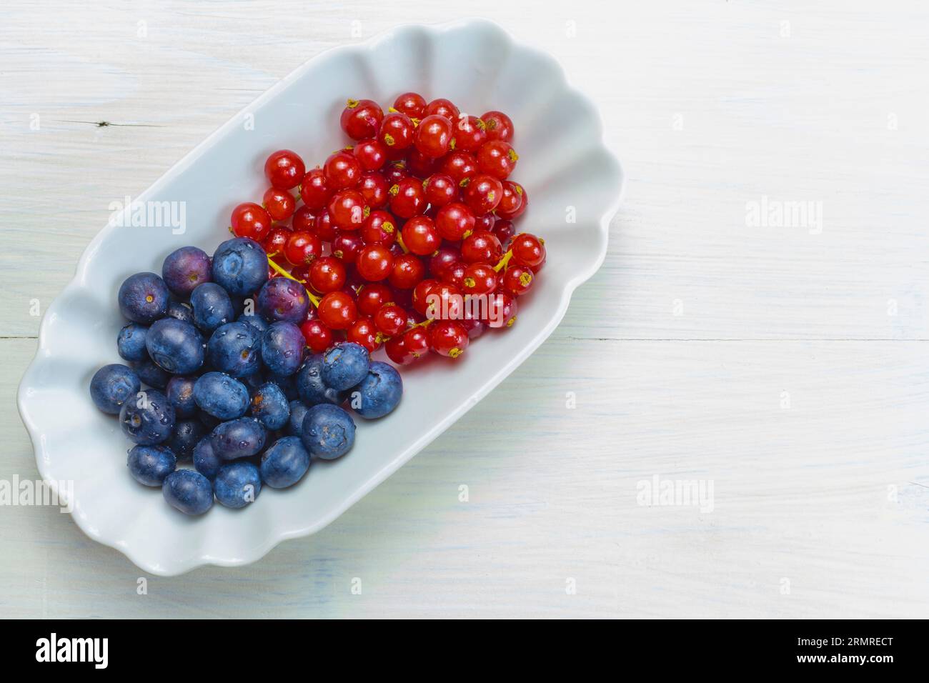 Saftige Blaubeeren und Johannisbeeren, die in einem ovalen Behälter eine schräge Zusammensetzung bilden Stockfoto