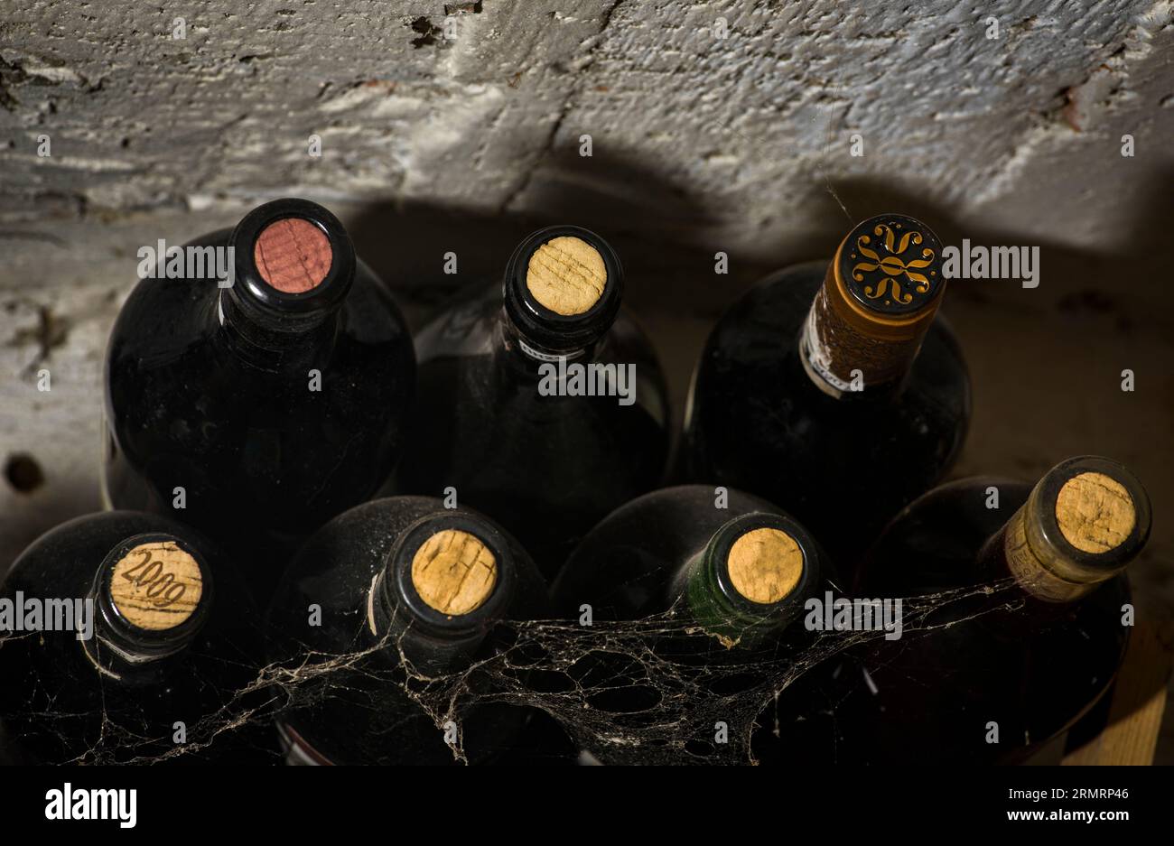 Flaschen Wein, im Keller gereift, mit Staub und Spinnennetz Stockfoto