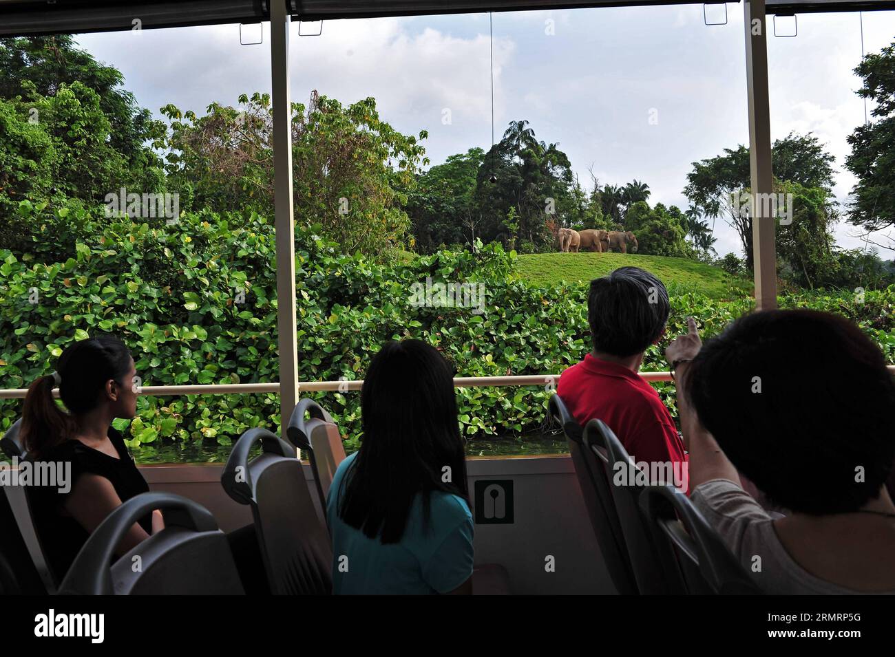 (140730) -- SINGAPUR, 30. Juli 2014 (Xinhua) -- Touristen sehen das Tier von der Kreuzfahrt auf der Singapore River Safari am 30. Juli 2014. Die Flussfahrt auf Singapurs River Safari wird am 1. August für die Öffentlichkeit geöffnet. (Xinhua/Then Chih Wey)(zhf) SINGAPORE-TRAVEL-RIVER SAFARI PUBLICATIONxNOTxINxCHN Singapur Juli 30 2014 XINHUA Touristen Sehen Sie das Tier von der Kreuzfahrt AUF Singapore S River Safari AM Juli 30 2014 die Flussfahrt von Singapore S River Safari wird AM 1. August für die Öffentlichkeit geöffnet XINHUA dann Chih Wey Singapore Travel River Safari PUBLICATIONxNOTxINxCHN Stockfoto