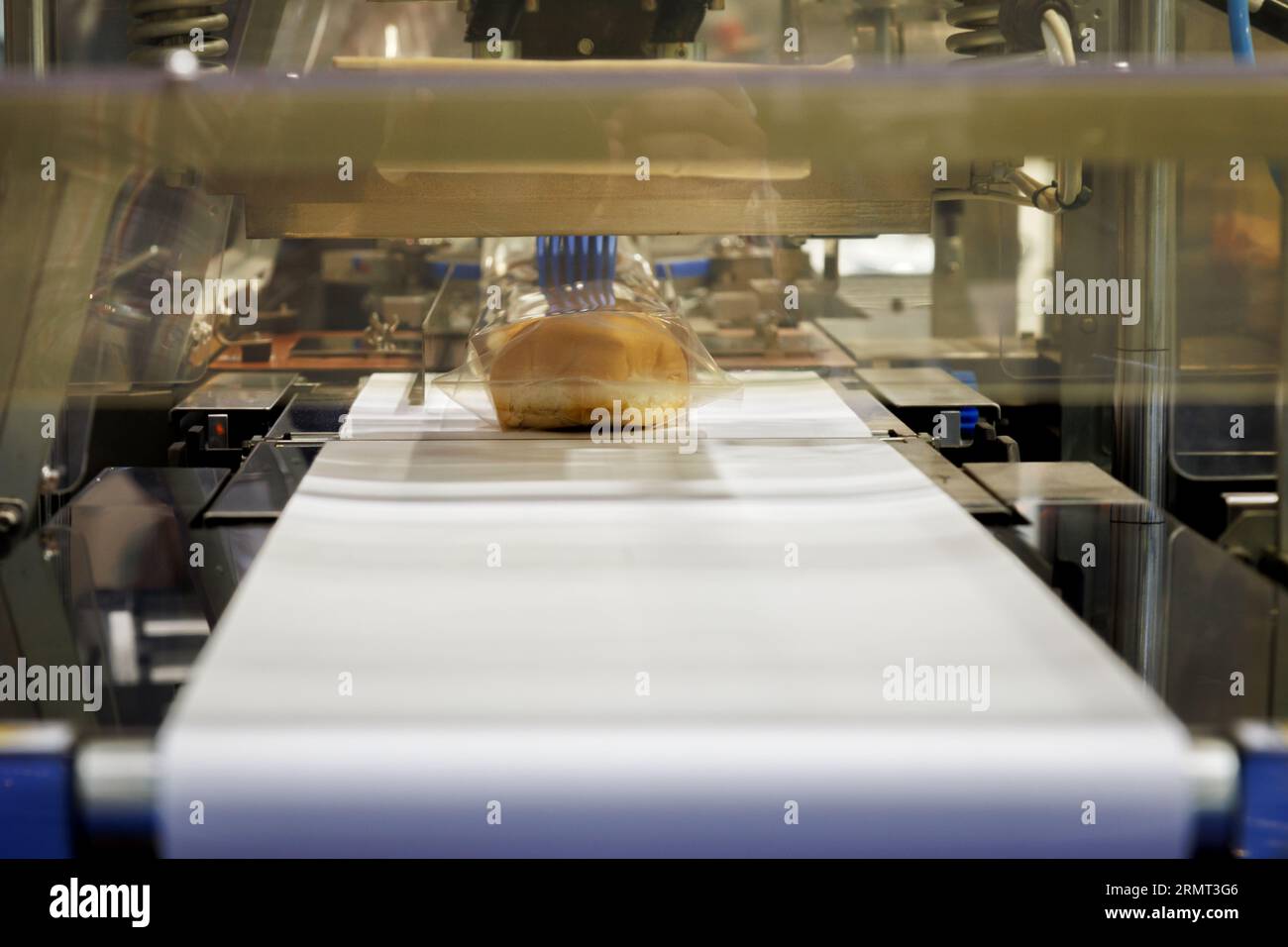 Gebackenes Brot in lebensmitteltauglichen Kunststofftüten auf dem Förderband wird in der Verpackungsmaschine an der Produktionslinie der Bäckereifabrik versiegelt. Stockfoto