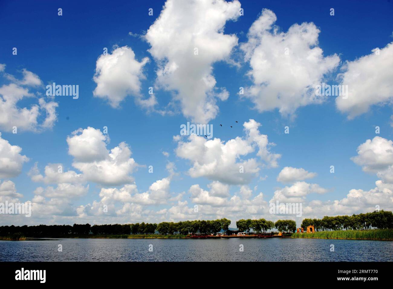 Das Foto vom 20. August 2014 zeigt die Landschaft des National Fujin Wetland Park in Fujin, der nordöstlichen chinesischen Provinz Heilongjiang. Mehr als die Hälfte des National Fujin Wetland Park basiert auf Feuchtgebieten, die aus künstlich bewirtschafteten Ackerflächen gewonnen wurden, die das Ökosystem der Region eine Zeit lang verwüsteten. Fast 600 Tier- und Pflanzenarten leben heute im Feuchtgebietspark. (lmm) CHINA-HEILONGJIANG-FUJIN-ENVIRONMENT-WETLAND (CN) WangxJianwei PUBLICATIONxNOTxINxCHN Foto aufgenommen AM 20. August 2014 zeigt die Landschaft des National Fujin Wetland Park in Fujin Nordostchina S Heilongjiang Provinz mehr Stockfoto