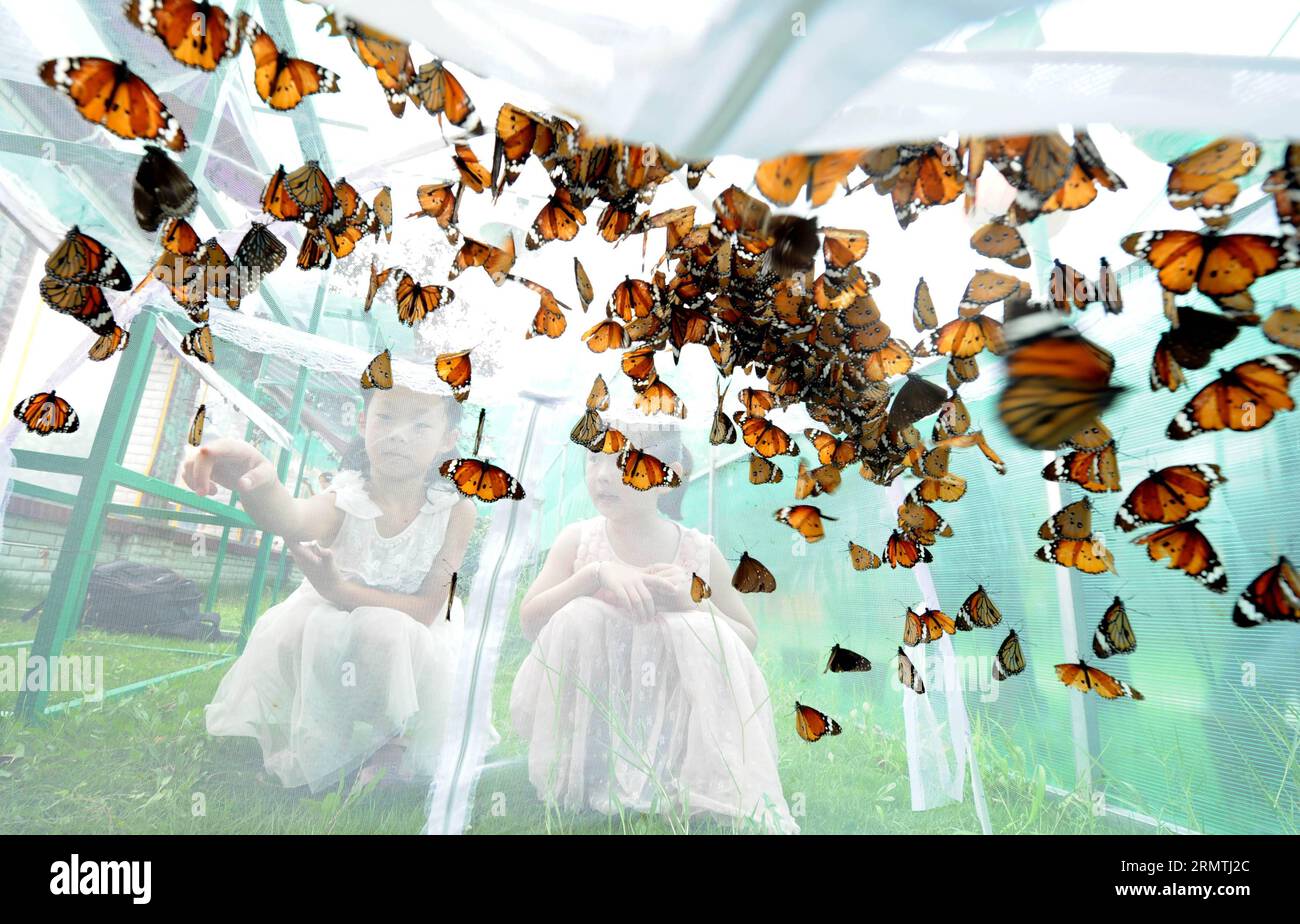 (140906) -- HEFEI, 6. September 2014 -- zwei Kinder beobachten Schmetterlinge während eines Schmetterlingskarnevals in Anhui, Hauptstadt der ostchinesischen Provinz Anhui, 6. September 2014. ) (lfj) CHINA-ANHUI-HEFEI-BUTTERFLY CARNIVAL (CN) LiuxJunxi PUBLICATIONxNOTxINxCHN Hefei 6. September 2014 zwei Kinder beobachten Schmetterling während eines Butterfly Carnival in Anhui Hauptstadt von Ostchina S Provinz Anhui 6. September 2014 China Anhui Hefei Butterfly Carnival CN PUNOBLICxATINNCHxN Stockfoto