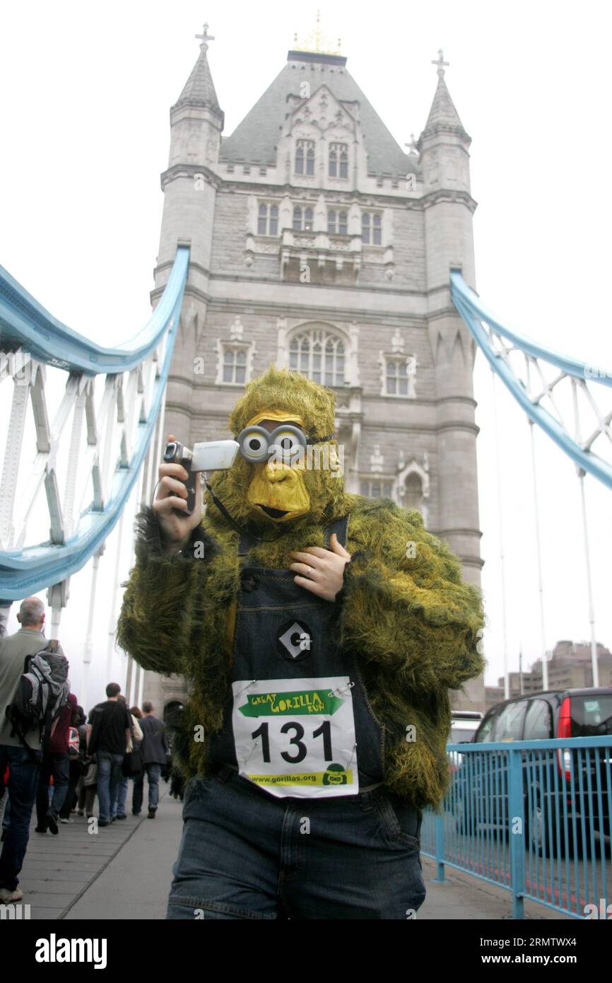 (140921) -- LONDON, -- Ein Teilnehmer läuft während des 11. Great Gorilla Run in London, Großbritannien am 20. September 2014 über die Tower Bridge. Hunderte von Menschen in Gorilla-Kostümen nahmen am 8 km langen Great Gorilla Run Teil, der von der Gorilla Organization organisiert wurde, um Geld zu sammeln, um Leben zu retten und die Lebensräume der Gorillas in Afrika zu erhalten, die als bedrohte Art gelten. Bimal Gautam (SP)UK-LONDON-GREAT GORILLA RUN Hanxyan PUBLICATIONxNOTxINxCHN London ein Teilnehmer läuft während des 11. Great Gorilla Run in London Großbritannien AM 20. September 2014 über die Tower Bridge Stockfoto