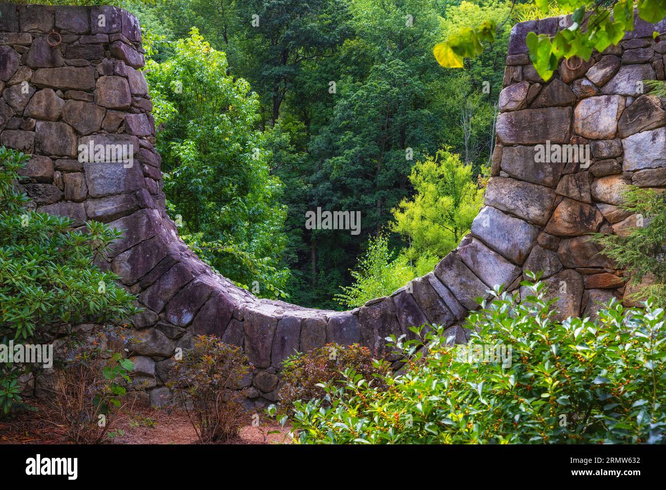 Schöner Hintergrund einer Felsstruktur, die den Wald im Hintergrund mit Pflanzen im Vordergrund halb umrahmt. Stockfoto