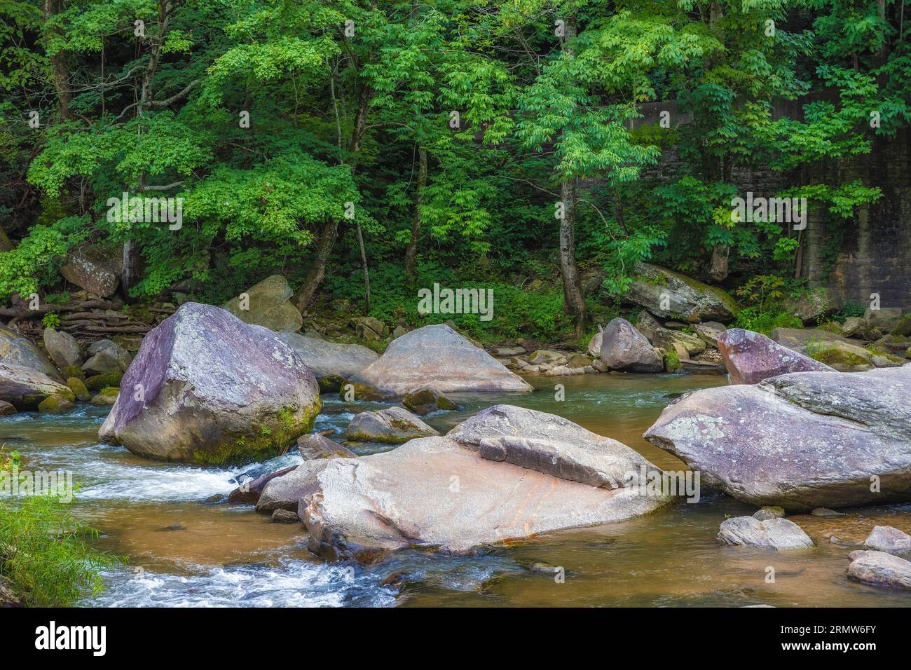 River Walk entlang des French Broad River, den die Einheimischen als