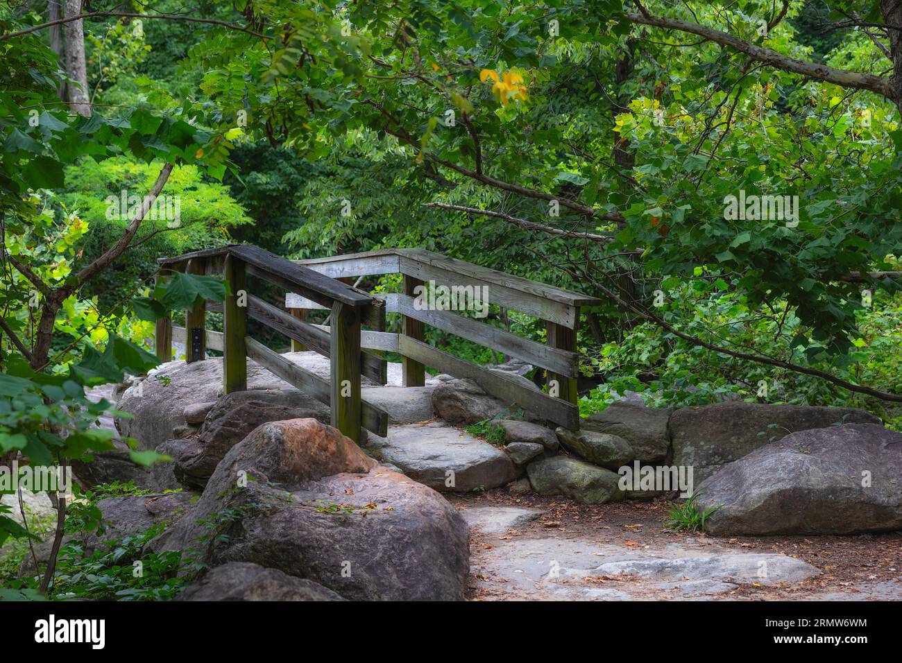 River Walk entlang des French Broad River, den die Einheimischen als
