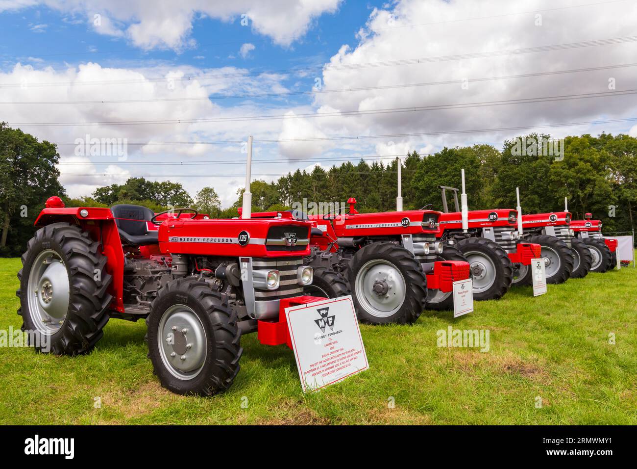 Reihe roter Massey Ferguson-Traktoren auf dem Steam & Vintage fest, Fordingbridge, Hampshire UK im August Stockfoto