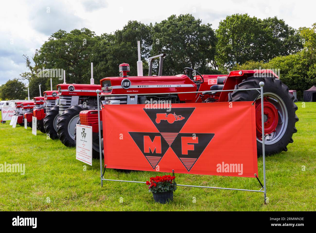 Reihe roter Massey Ferguson-Traktoren auf dem Steam & Vintage fest, Fordingbridge, Hampshire UK im August Stockfoto