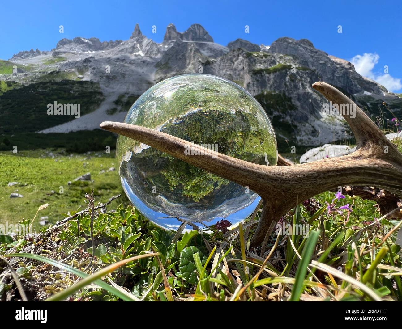 Stillleben von eindrucksvollem rehbockgeweih (Jagdtrophäe), neben Linsenkugel, Kristallkugel, mit Reflexionen des Gauertals (Montafon, Vorarlberg) Stockfoto