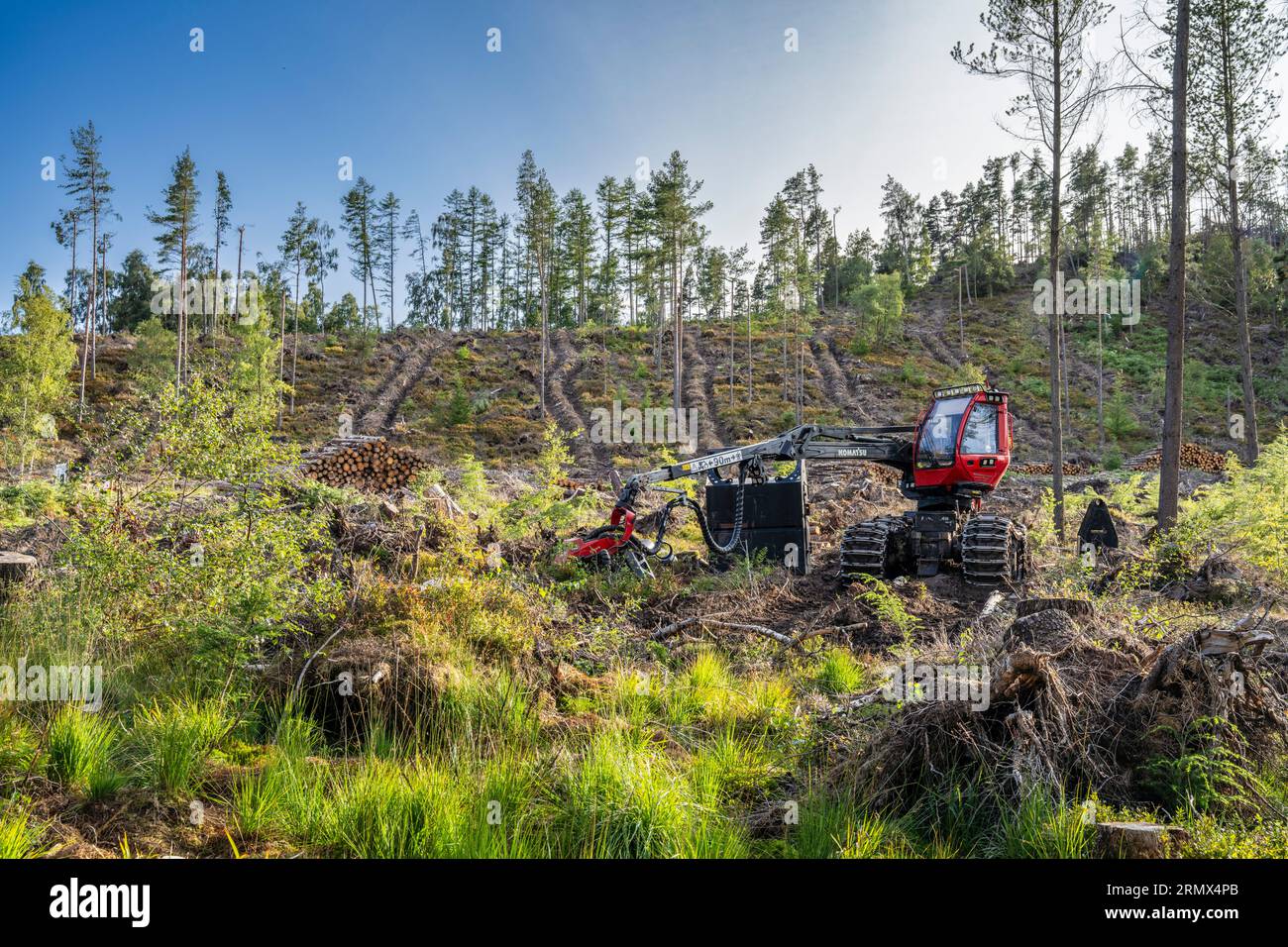 Eine Baumfällmaschine reinigt eine berghügel-Forst-commission-Plantage in der Nähe von Harbottle, Northumberland, nachdem sie durch den Sturm Arwen beschädigt wurde. Stockfoto