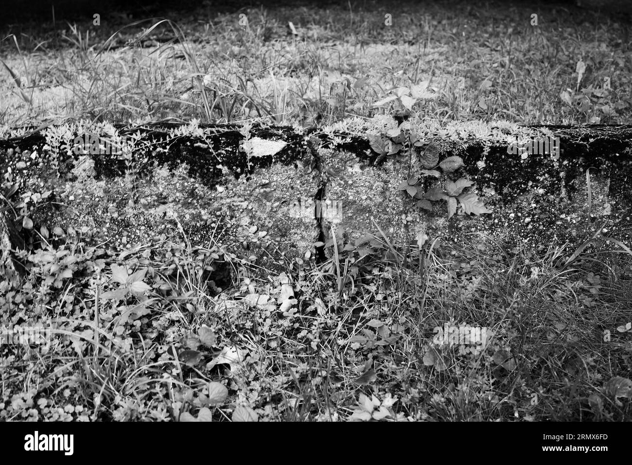 Alte, verlassene Betonplatten als Fundament eines längst veralteten Gebäudes und Hauses in schwarz-weiß monochrom. Stockfoto