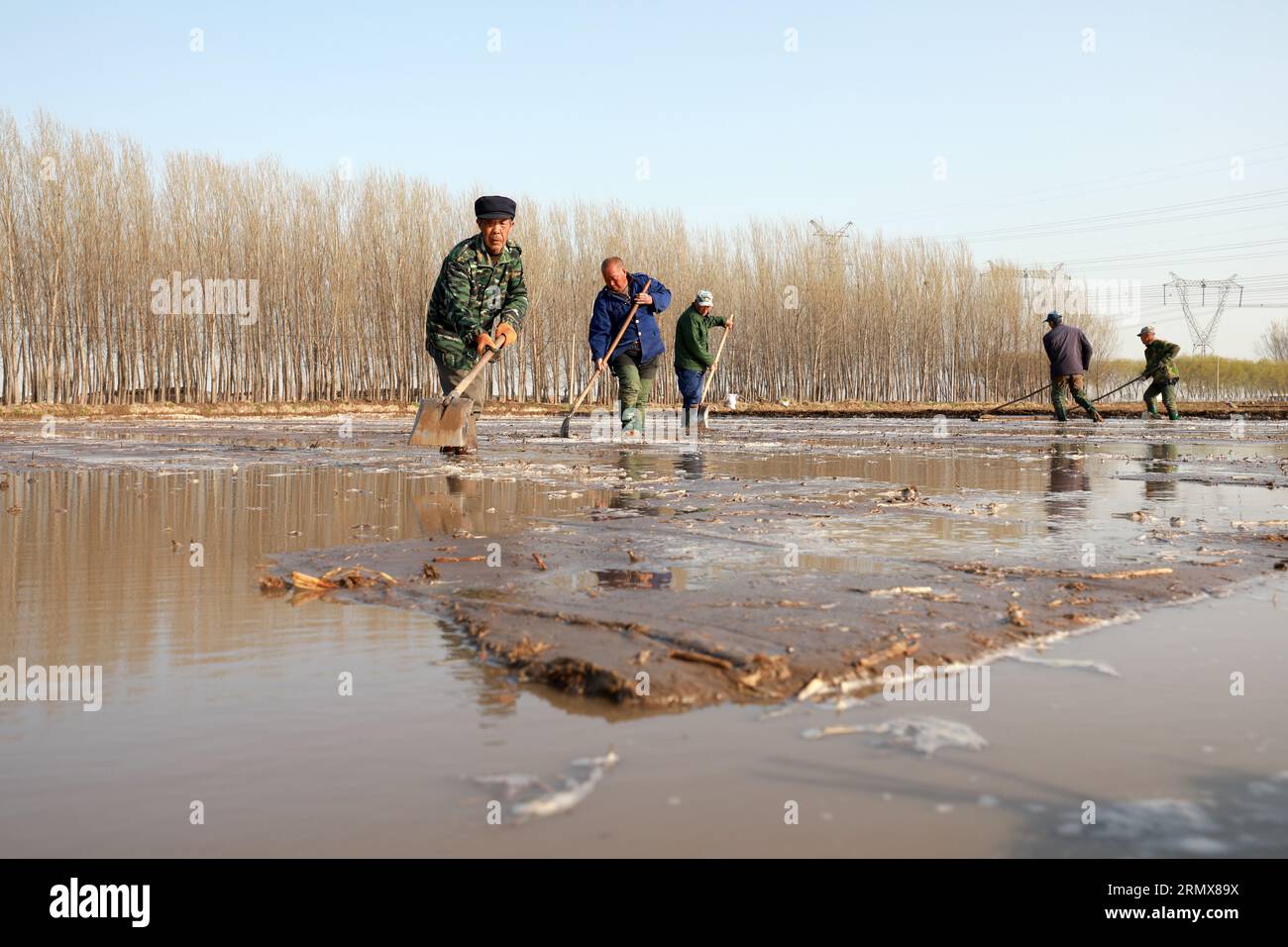 LUANNAN COUNTY, Provinz Hebei, China - 1. April 2020: Farmers Prepared to Plant Reis in a Paddy Field. Stockfoto