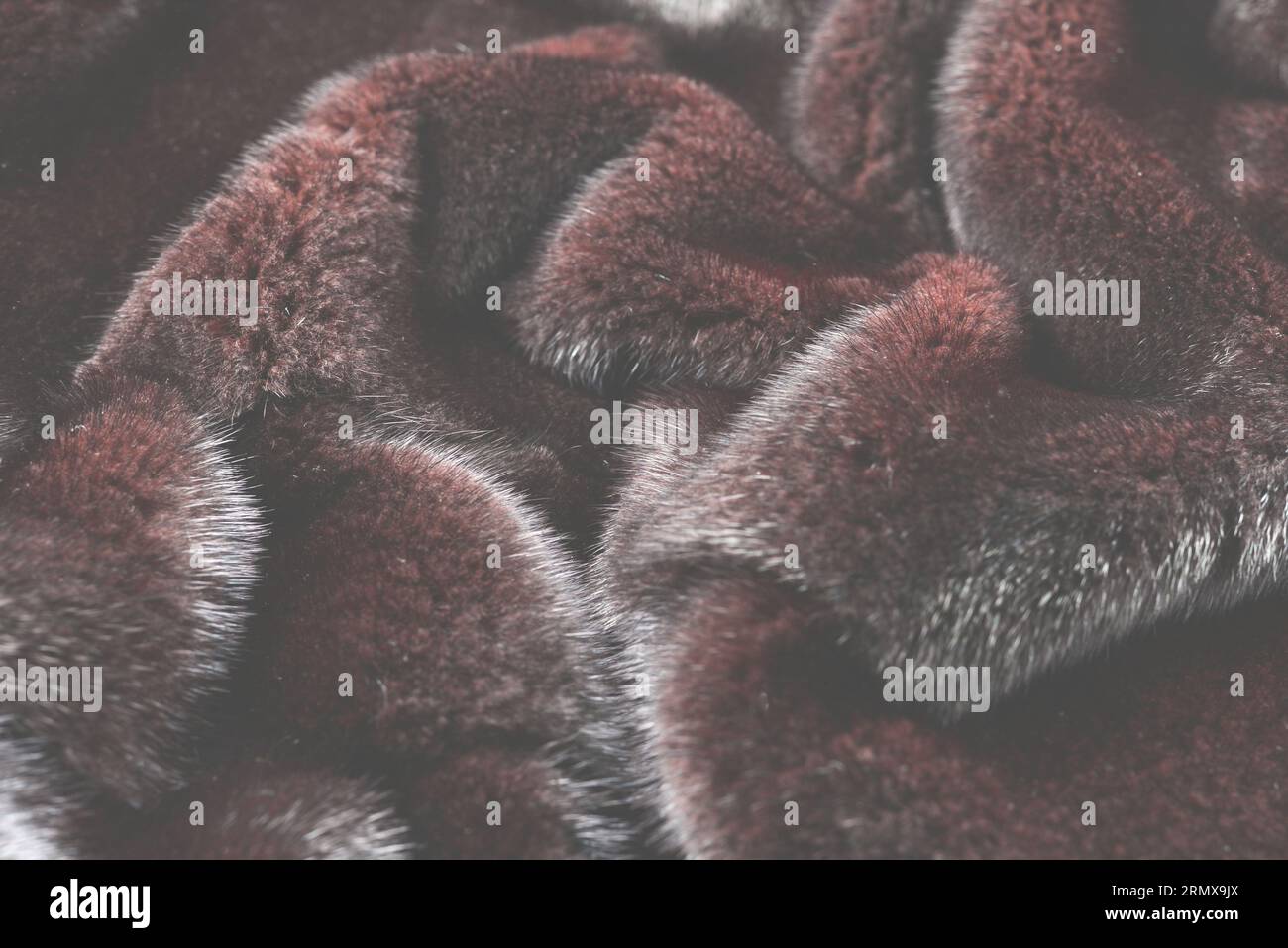 Nerzbraunfell als Textur. Draufsicht. Stockfoto