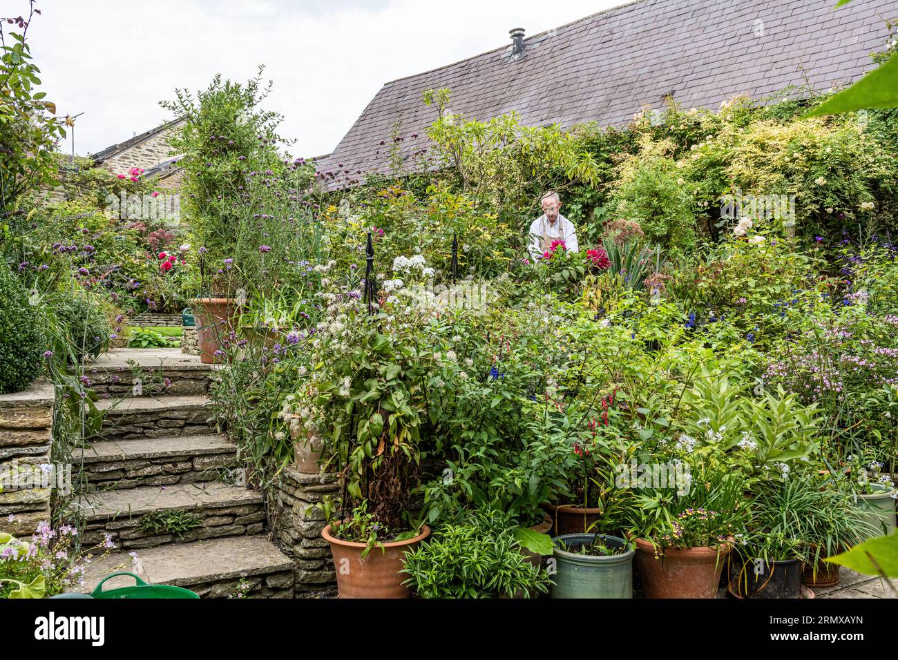 Tom Duncan von Ciceroni Reisen Sie zu Hause im Garten von Northamptonshire Stockfoto