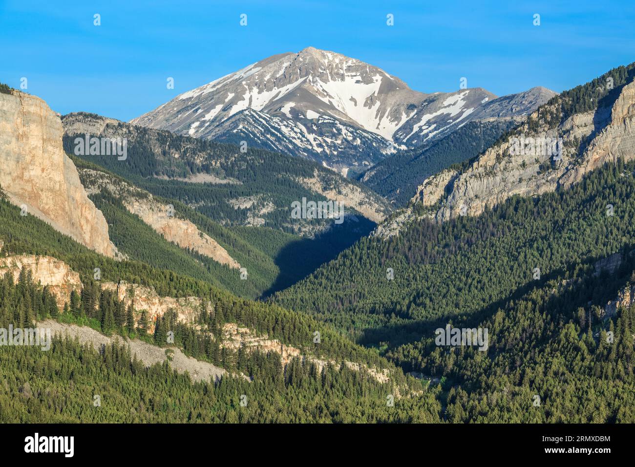 Old Baldy am Oberlauf des South Fork Teton River in der Nähe von Choteau, montana Stockfoto