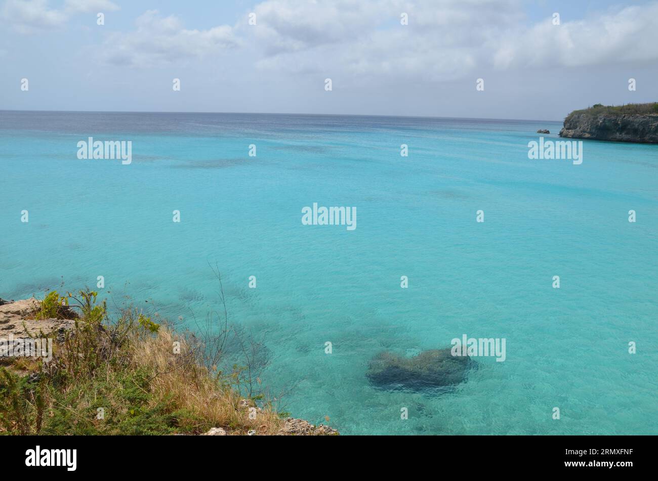Landschaft mit Pflanzen, Felsen und dem wunderschönen türkisfarbenen Wasser der karibik auf Curacao Stockfoto