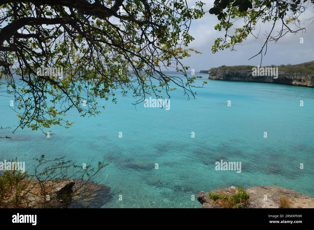 Landschaft mit Pflanzen, Felsen und dem wunderschönen türkisfarbenen Wasser der karibik auf Curacao Stockfoto