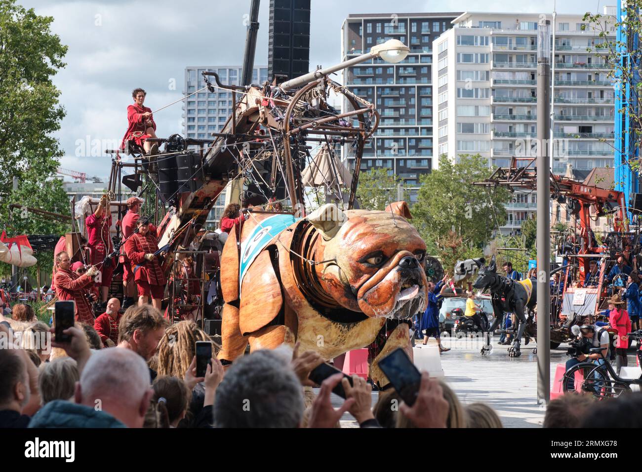 Das Marionettentheater Royal de Luxe spielt in Antwerpen, Belgien Stockfoto