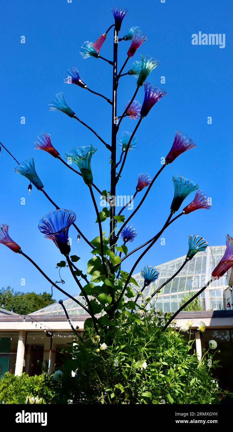 Ein Baum aus Glas und Stahl vom Glass Asylum auf der Geis Terrace im Cleveland Botanical Garden, Cleveland, Ohio Stockfoto