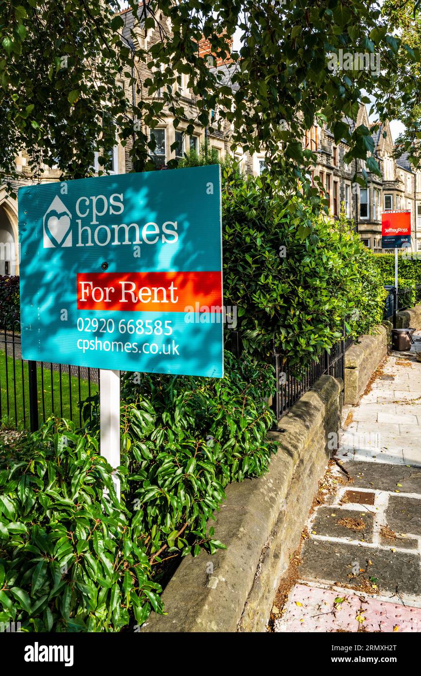 Zum Mieten Schild in Pontcanna (gehobene Gegend), Cardiff. Britischer Wohnungsmarkt. Immobilienmarkt. Hypotheken. Konzept. Zusammenfassung. Geschäftskunden. Wirtschaftlichkeit. Steuer Stockfoto