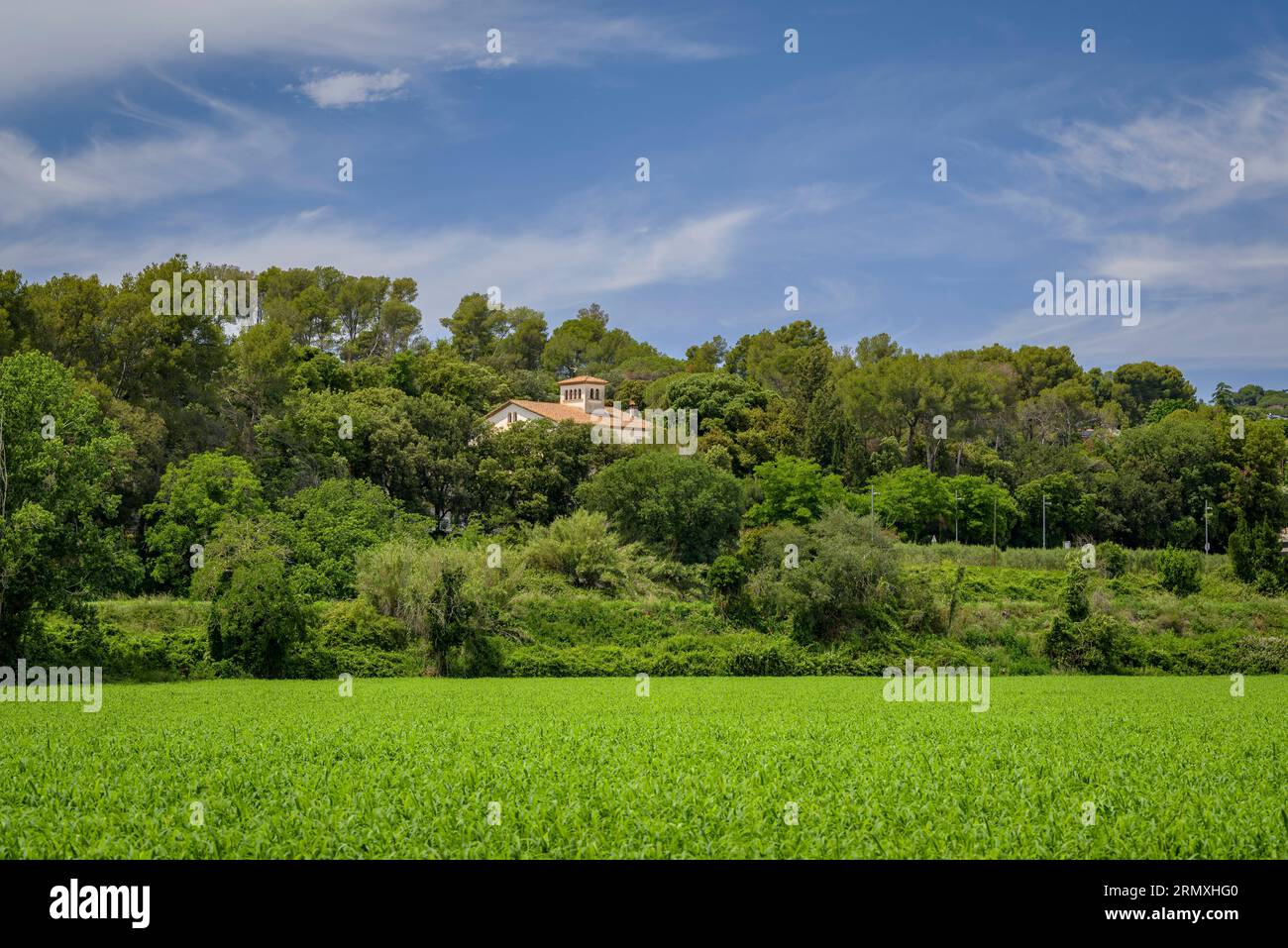 Grüne Felder und ein Haus inmitten des Waldes in Santa Eulàlia de Roncana (Vallès Oriental, Barcelona, Katalonien, Spanien) ESP: Campos verdes y una casa Stockfoto