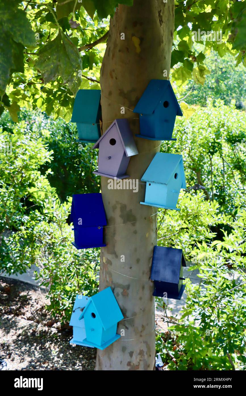 Ausstellung von mehrfarbigen kleinen Vogelhäusern im Cleveland Botanical Garden, Cleveland, Ohio Stockfoto