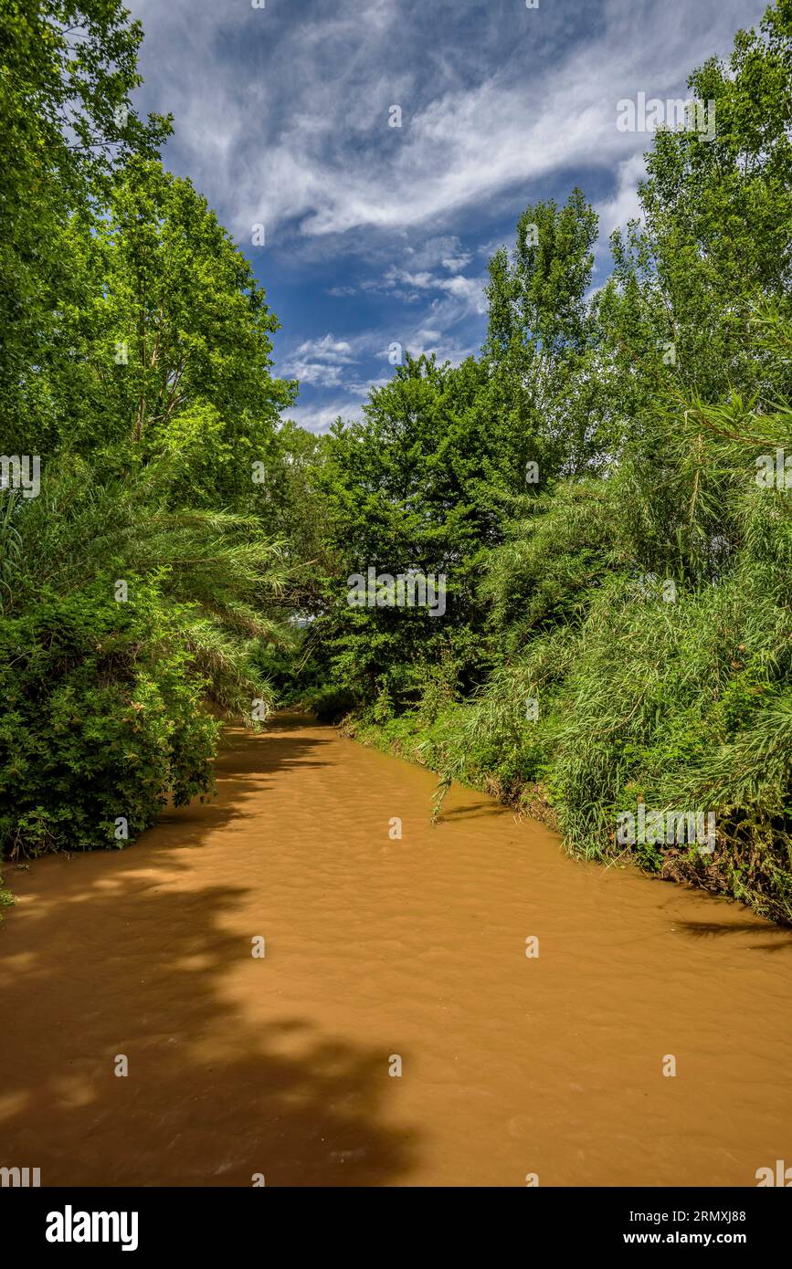 Umgebung des Flusses Tenes, der im Frühjahr durch Santa Eulàlia de Roncana führt (Vallès Oriental, Barcelona, Katalonien, Spanien) Stockfoto