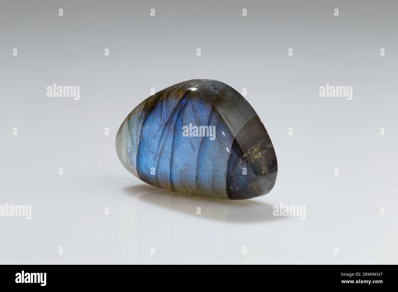 Polierter Labradorit-Mineral-Edelstein mit blauem Iridescence auf grauem Hintergrund Stockfoto