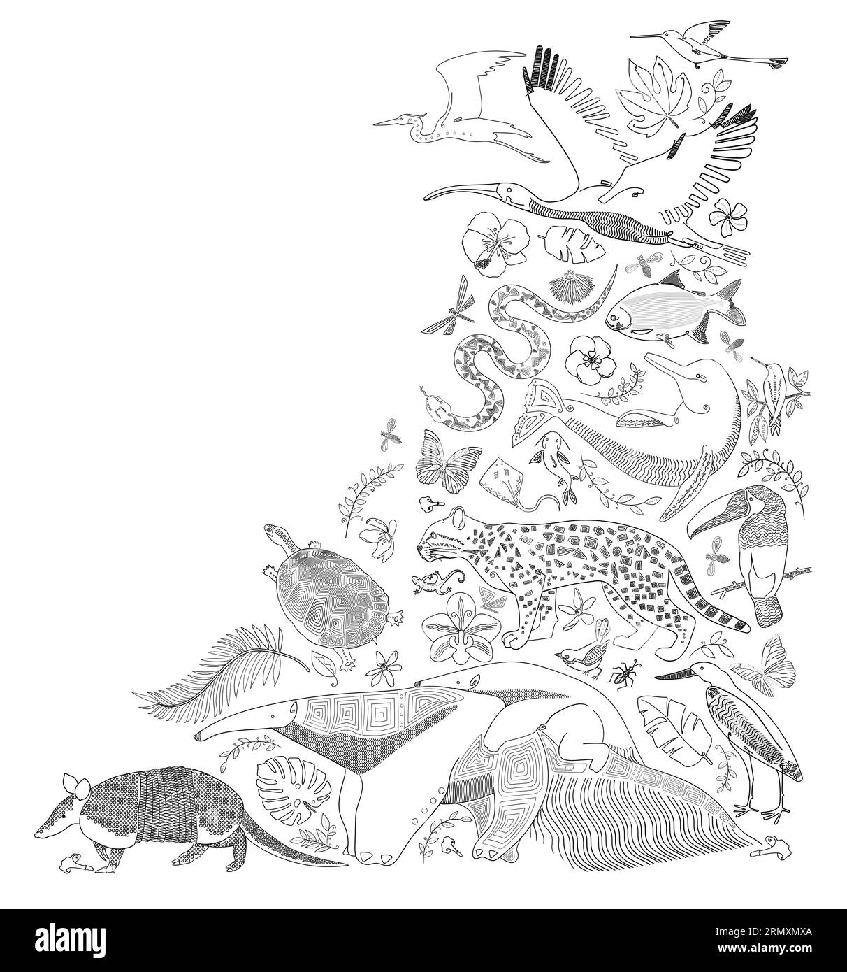 Illustration im Stich von Tieren der kolumbianischen und venezolanischen Ebenen, Armadillo, Ameisenfresser, Ozelot, Schildkröte, Tukan, Delfin, Stachelrochen, aber Stockfoto