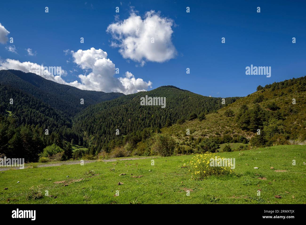 Serra del Moixeró mit dekorativen Wolken an einem Herbstmorgen (Cerdanya, Katalonien, Spanien, Pyrenäen) ESP La sierra del Moixeró con nubes, Lérida Stockfoto