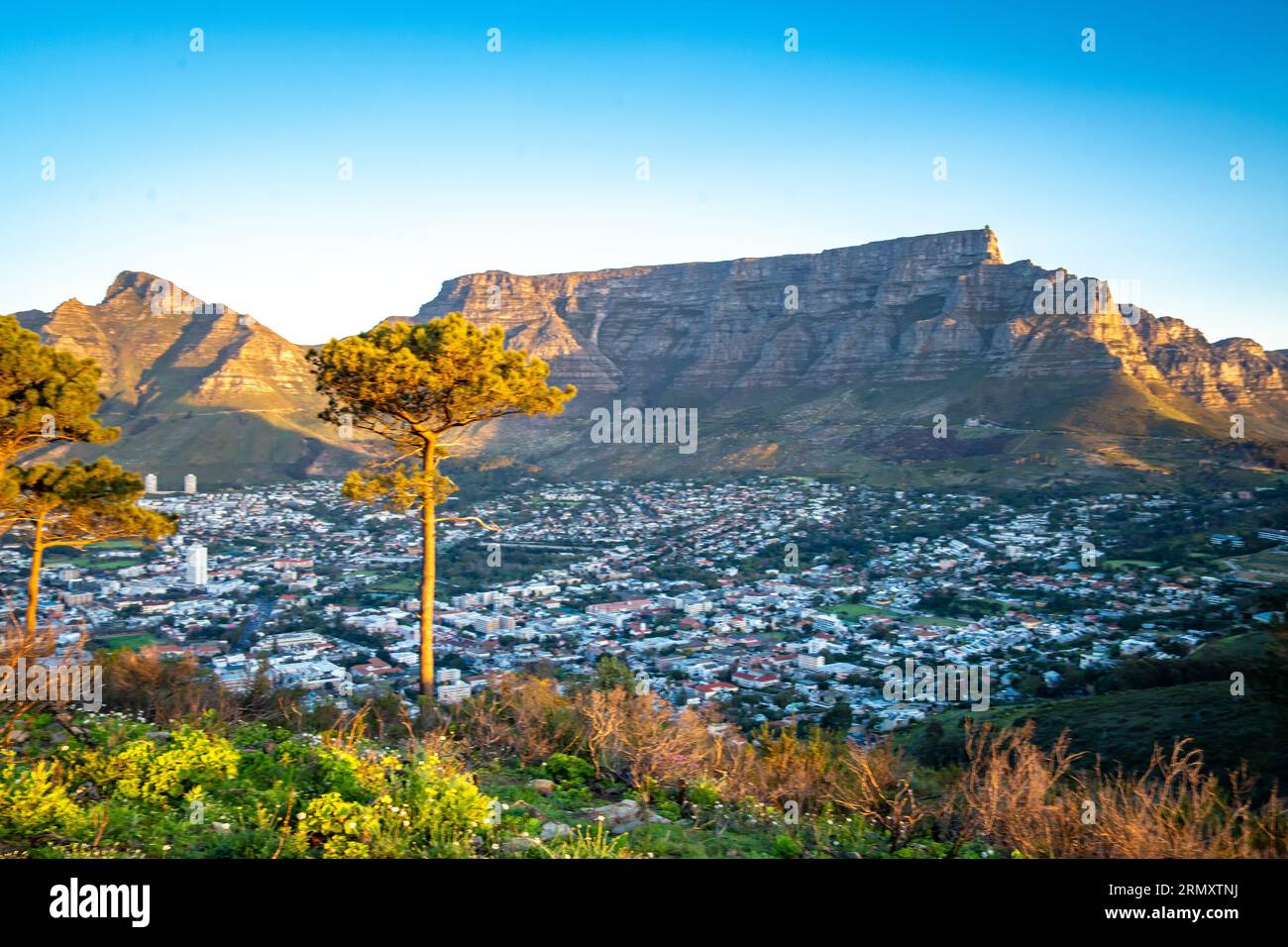 Blick auf Kapstadt vom Aussichtspunkt Signall Hill in Westkap, Südafrika Stockfoto