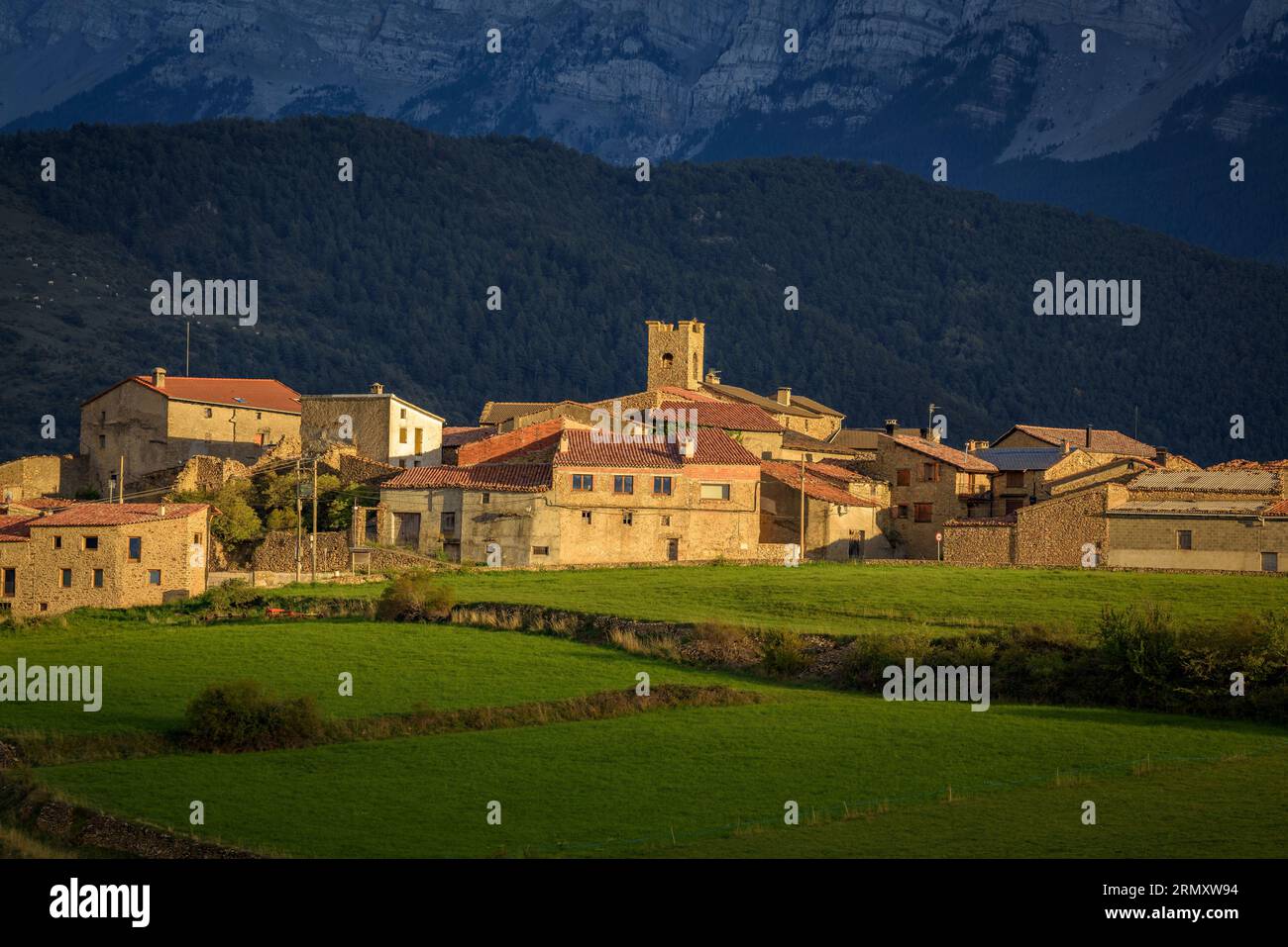 Vilanova de Banat, grüne Felder und die Cadí-Bergkette bei Sonnenuntergang im Spätsommer (Alt Urgell, Lleida, Katalonien, Spanien, Pyrenäen) Stockfoto