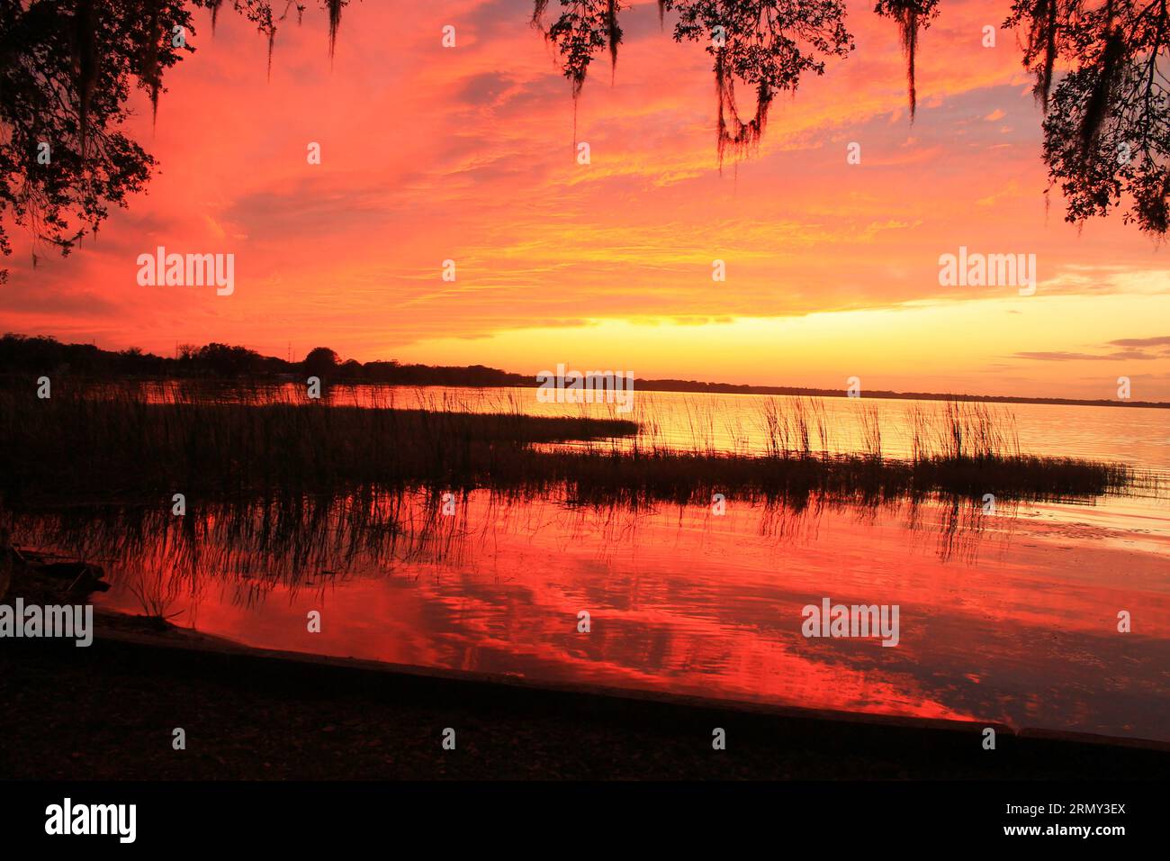 Florida Sonnenuntergang am Lake Griffin mit Orangen und Gelbtönen Stockfoto