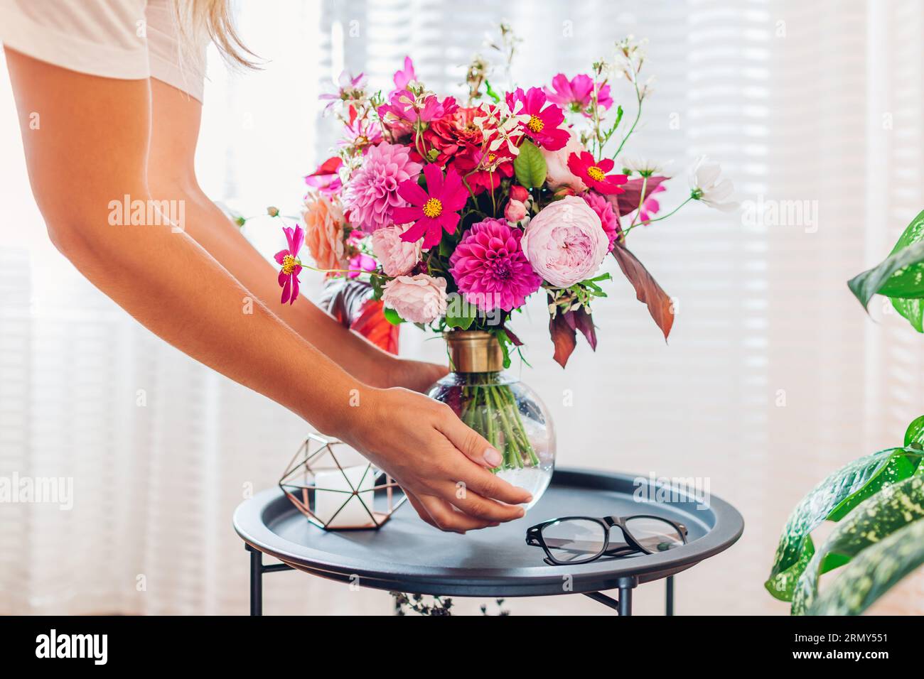 Die Frau legt einen Blumenstrauß rosa Blumen in eine transparente Vase auf den Kaffeetisch. Es sorgt für Gemütlichkeit im Innenraum und Sommerdekor zu Hause. Nahaufnahme Stockfoto