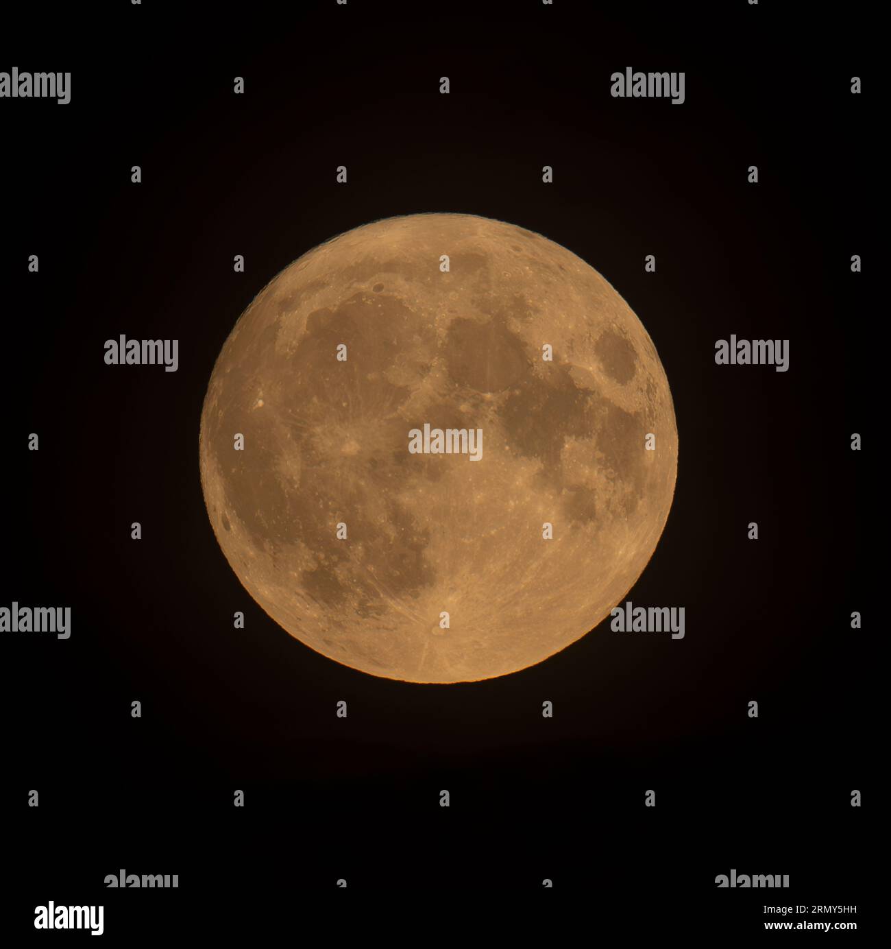 Wimbledon, London, Großbritannien. 30. August 2023. Der größte und hellste Vollmond des Jahres 2023 erhebt sich über London. Dieser blaue Supermond ist der erste seit 2009, der nächste erscheint 2037. Quelle: Malcolm Park/Alamy Live News Stockfoto