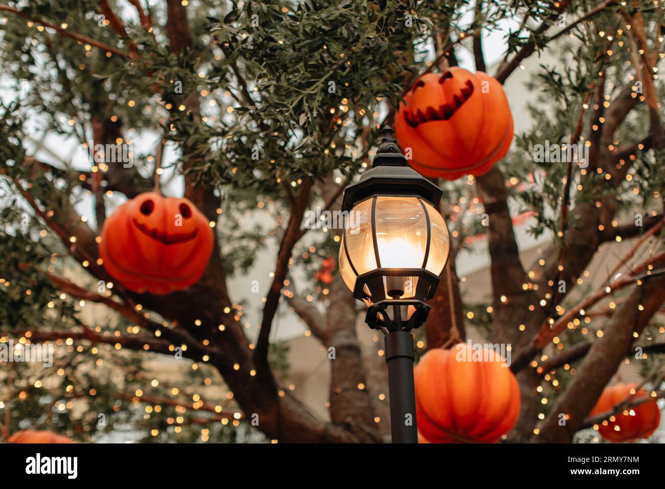 Heller Kürbis mit einem gruseligen Halloween-Gesicht, das an einem Baum mit Girlanden hängt. Hintergrund für halloween-Party Stockfoto