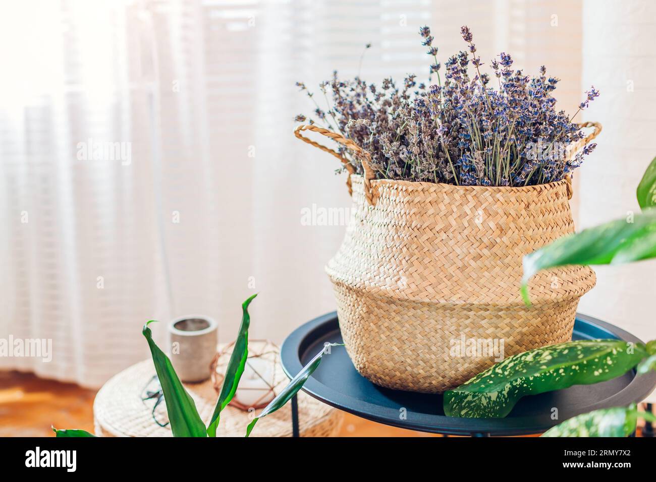 Moderne Einrichtung im Boho-Stil. Korb gefüllt mit duftendem Lavendelband auf dem Tisch. Gemütliche Einrichtung im ethnischen Öko-Stil mit natürlichen Materialien A Stockfoto