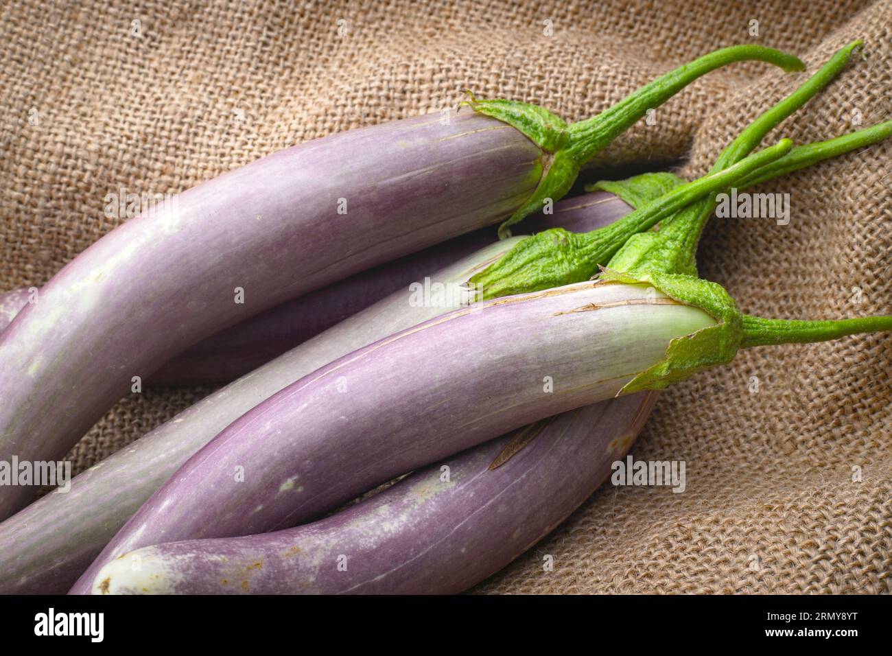 Ein Nahaufnahme von langen violetten Auberginen, die auf einer alten Sackleinen liegen. Stockfoto