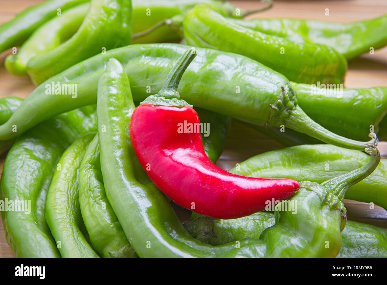 Ein Nahaufnahme eines roten Paprikas, der auf einem Haufen langer grüner Paprika in einem Studio sitzt. Stockfoto