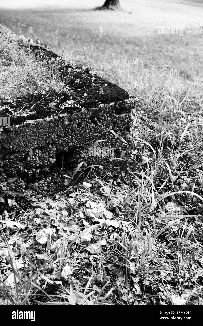 Alte, verlassene Betonplatten als Fundament eines längst veralteten Gebäudes und Hauses in schwarz-weiß monochrom. Stockfoto