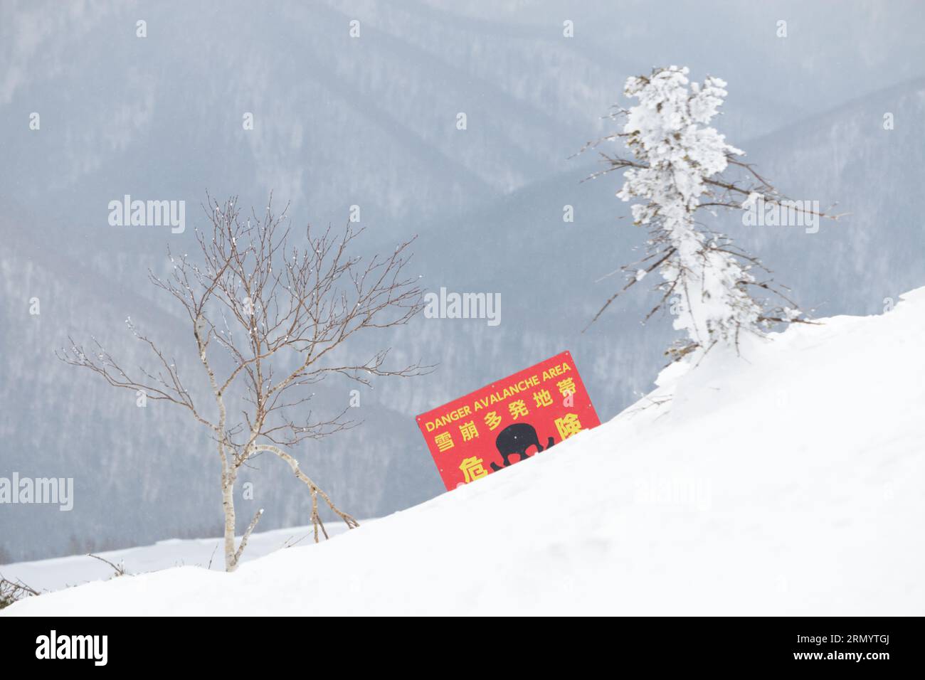 Helles Warnschild für Lawinengefahr im tiefen Schnee an der Grenze des Skigebietes Hokkaido, Japan Stockfoto