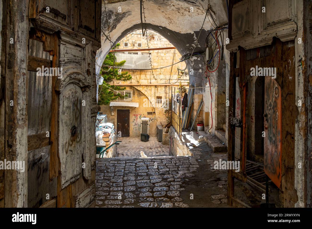 Ein weißes Kätzchen oder eine Katze spielt im Sonnenlicht auf den Stufen einer Gasse entlang der Via Dolorosa, dem Weg, den Jesus zur Kreuzigung in Jerusalem, Israel, ging. Stockfoto