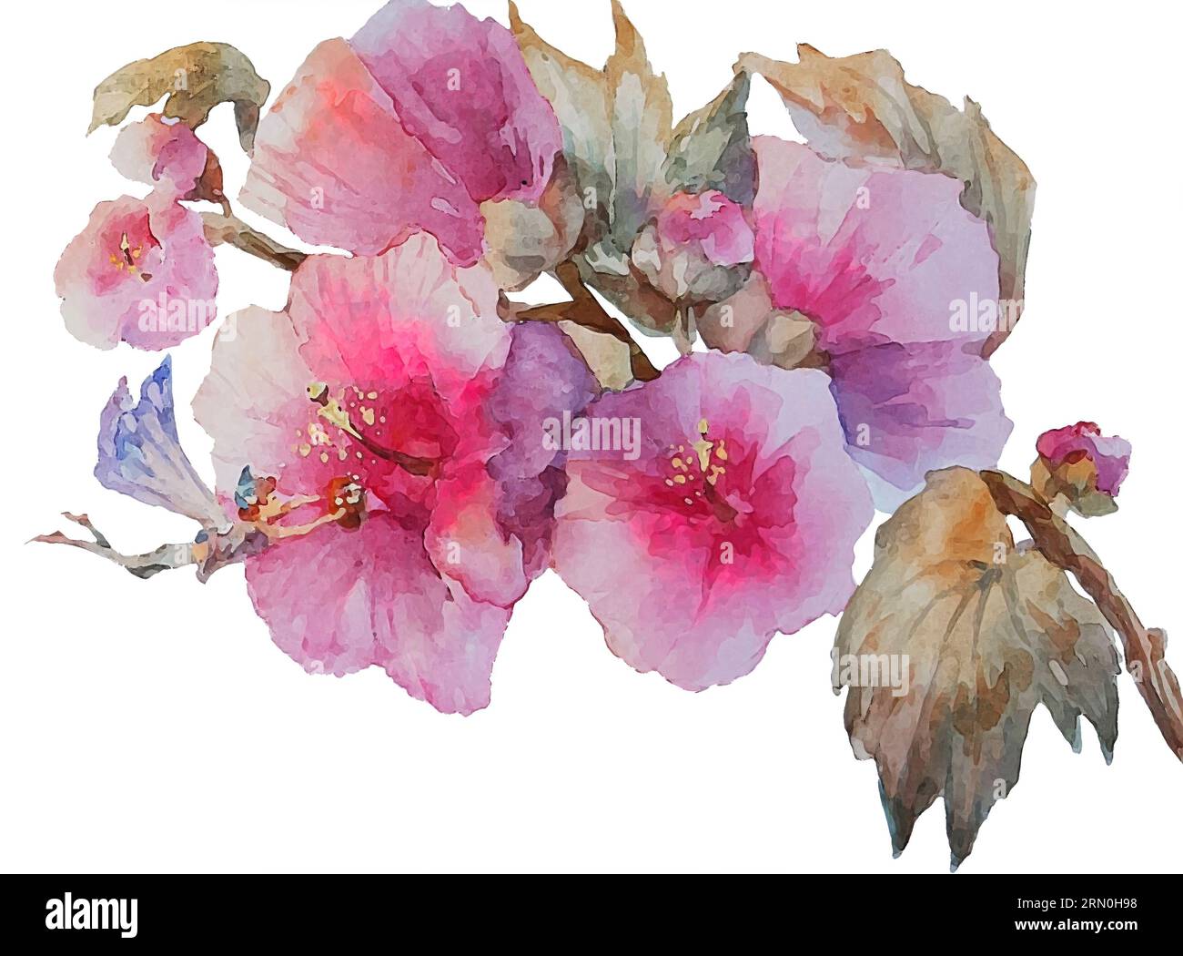 Fantasy Mallow Blumen mit einer kleinen Fee Stockfoto