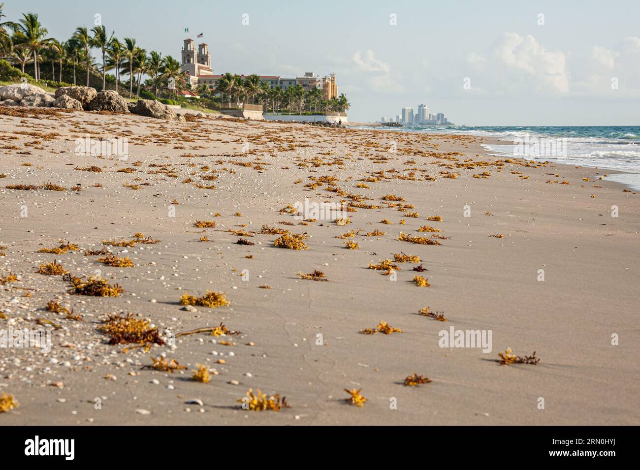 Palm Beach, Florida, Strandlandschaft mit dem Breakers Resort Hotel im Hintergrund und Singer Island in der Ferne sichtbar. (USA) Stockfoto