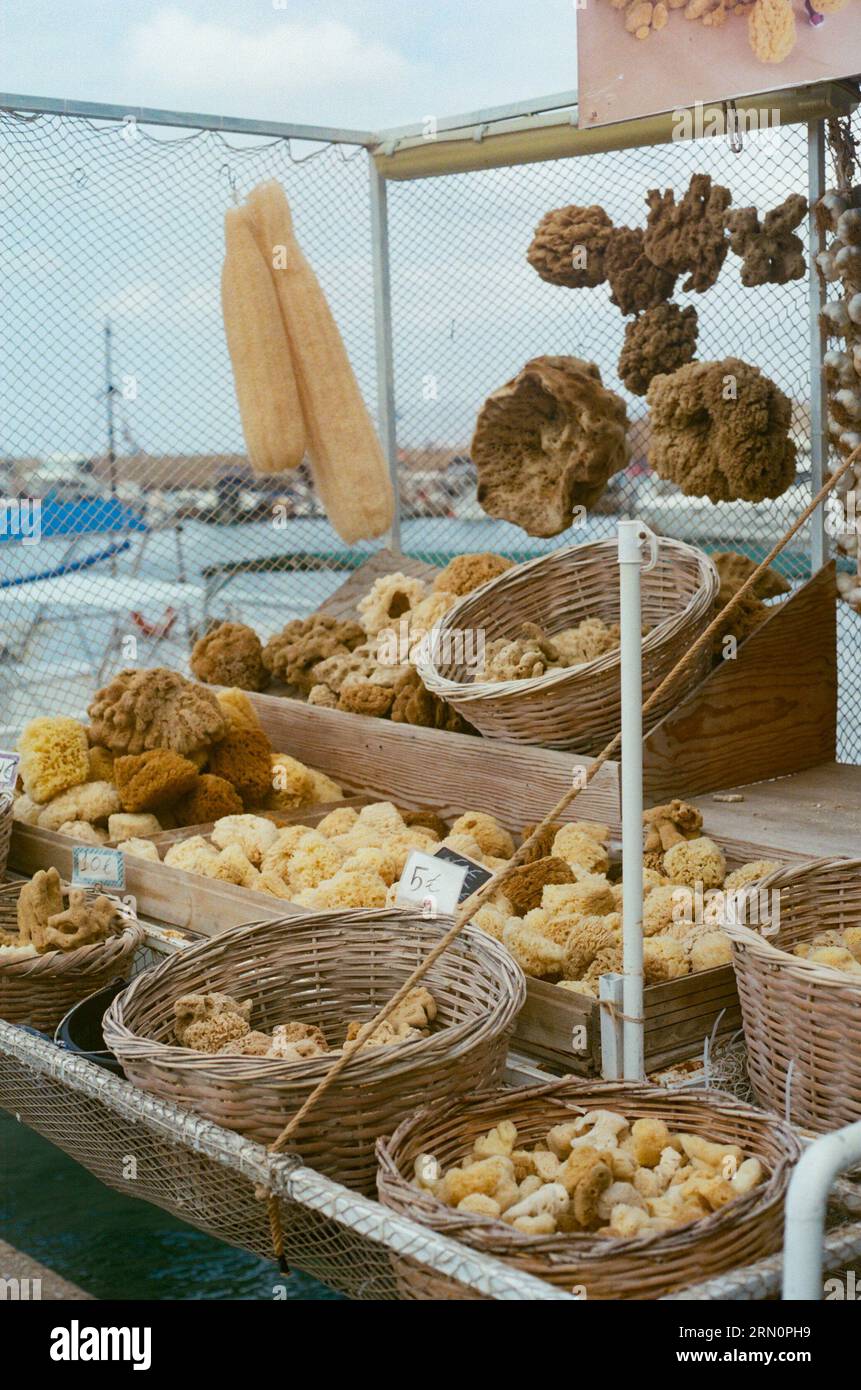 Natürliche Schwämme zum Verkauf am Hafen in Chania, Kreta, Griechenland Stockfoto