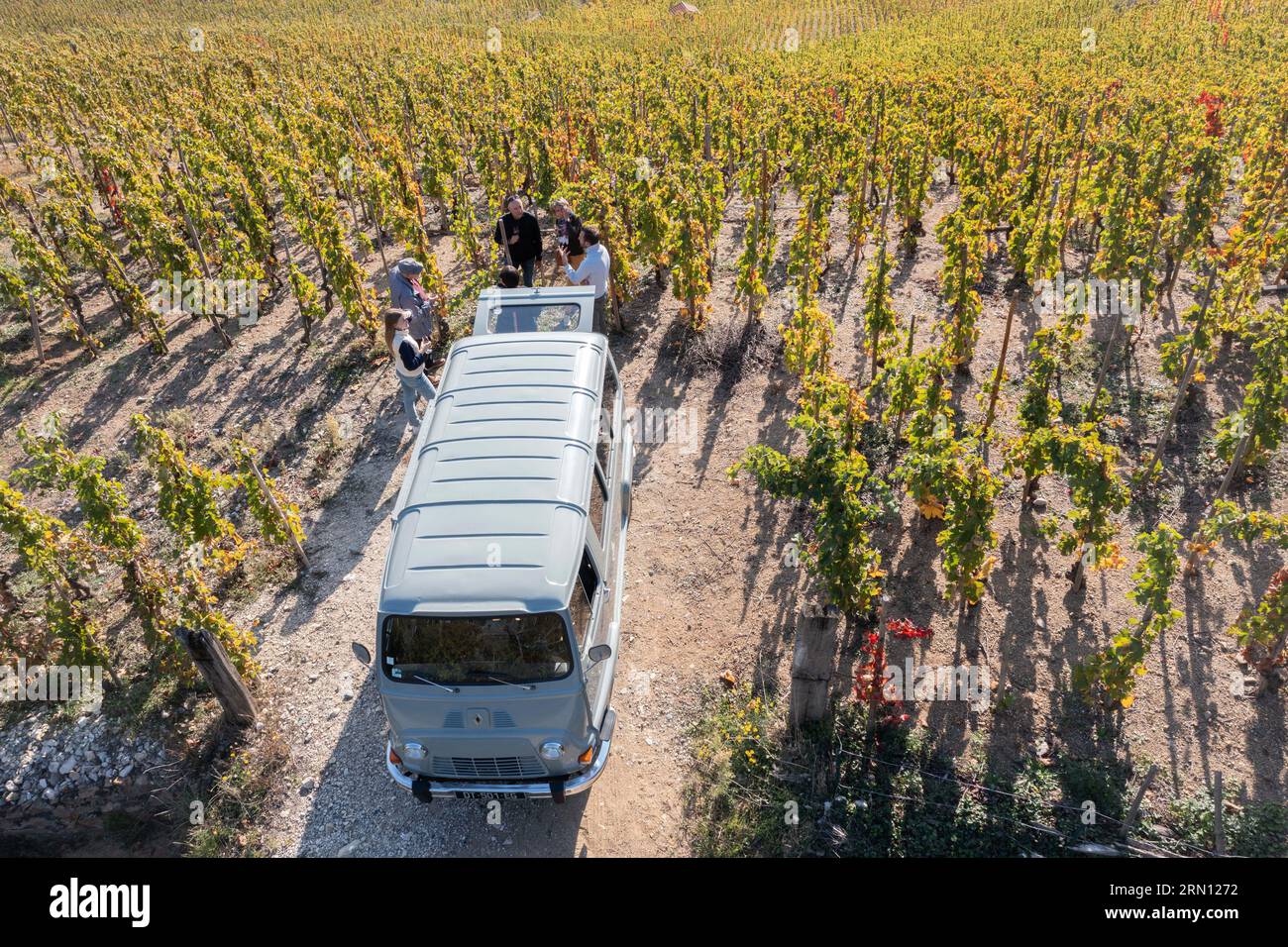 Cornas (Südostfrankreich): Fahrt in einem alten Renault-Van und Weinprobe mit Winzer Remy Nodin inmitten von Reben. Weinberge und Diskothek Stockfoto
